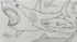 子どもの塗り絵をプロが塗ったら……