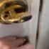 玄関を開けると……