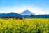 画像はイメージです（画像：写真AC）