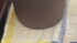 今年も稼働しはじめた……