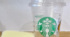 スタバのカップで栽培