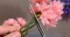 ダイソーの造花を使って……