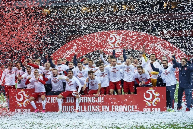 ポーランドが直接対決制し本戦へ…ルーマニア、アルバニアも予選突破／ユーロ2016予選