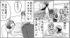 �ޥޥ���