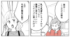 �ޥޥ���