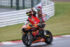 今季初優勝を飾り王者に輝いた國峰啄磨（TOHO Racing）／2026全日本ロード第7戦鈴鹿 ST1000　決勝