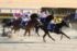 24年は3兆3337億の売り上げがあった中央競馬（写真はイメージです）