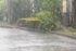 ゲリラ豪雨の外に出て、滑って倒れた足の悪い父。ずぶ濡れになって助けてくれた恩人の名前も聞かず...