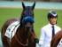 3歳1勝クラスに出走予定のイナズマダイモン(25年10月撮影、ユーザー提供：h.さん)
