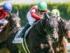 3歳未勝利に出走予定のダノンプレサージュ(今年3月撮影、ユーザー提供：ワラビさん)