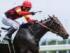 3歳未勝利に出走予定のユマハム(25年6月撮影、ユーザー提供：Nadepaさん)