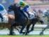 3歳未勝利に出走予定のランブルスコ(今年3月撮影、ユーザー提供：kozuさん)