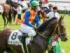 4歳上2勝クラスに出走予定のテーオーシュタイン(24年9月撮影、ユーザー提供：起きたろさん)