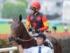 3歳未勝利に出走予定のユマハム(25年6月撮影、ユーザー提供：h.さん)