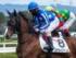 3歳未勝利に出走予定のリアライズアリス(今年3月撮影、ユーザー提供：Apophasisさん)