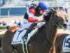 3歳未勝利に出走予定のヘイジュード(今年3月撮影、ユーザー提供：ワラビさん)