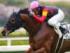 3歳未勝利に出走予定のハムタン(今年4月撮影、ユーザー提供：TKさん)