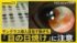 TBS NEWS DIG