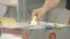 TBS NEWS DIG