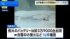 TBS NEWS DIG