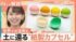 TBS NEWS DIG