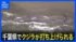 TBS NEWS DIG