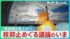 TBS NEWS DIG