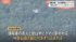 TBS NEWS DIG