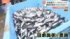 TBS NEWS DIG