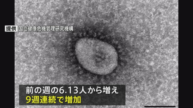 新型コロナ1医療機関あたりの感染者6.30人 9週連続で増加 強いのどの痛みが特徴 新たな変異株「ニンバス」の感染広がる | mixiニュース