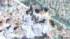 TBS NEWS DIG