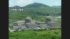 TBS NEWS DIG