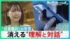 TBS NEWS DIG