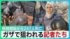 TBS NEWS DIG