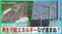 TBS NEWS DIG