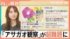TBS NEWS DIG