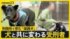 TBS NEWS DIG