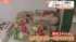 TBS NEWS DIG