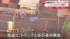 TBS NEWS DIG