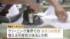 TBS NEWS DIG