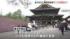 TBS NEWS DIG