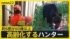 TBS NEWS DIG