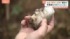 TBS NEWS DIG