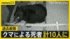 TBS NEWS DIG