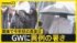 TBS NEWS DIG