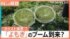 TBS NEWS DIG