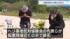TBS NEWS DIG