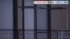 TBS NEWS DIG