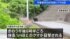 TBS NEWS DIG