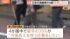 TBS NEWS DIG